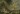 174was100.5-phvgent.jpg